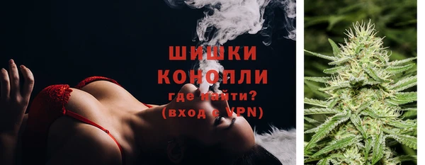 мдпв Надым