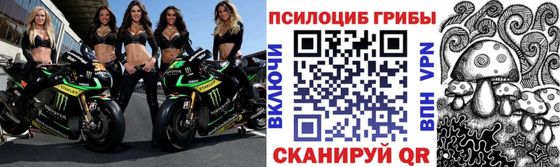 Псилоцибиновые грибы мицелий  что такое   Покров 